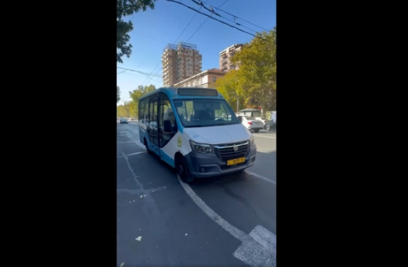 Մաշտոցի պողոտայում հայտնաբերեցի լքված Գազել․ ի՞նչ է եղել (տեսանյութ)